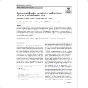 Genetic Analysis Of Aegilops Tauschii Derived Seedling Resistance To Leaf Rust In Synthetic Hexaploid Wheat